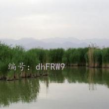 ì